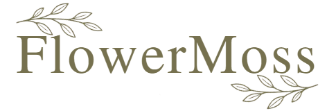Thevme